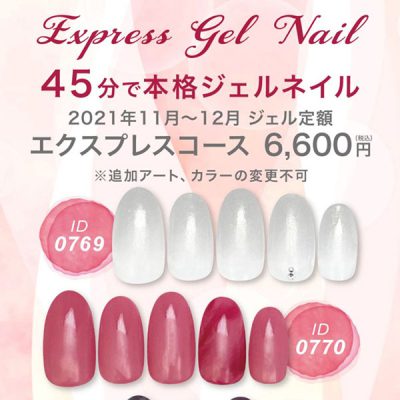 Shop News Birds 港南台バーズ